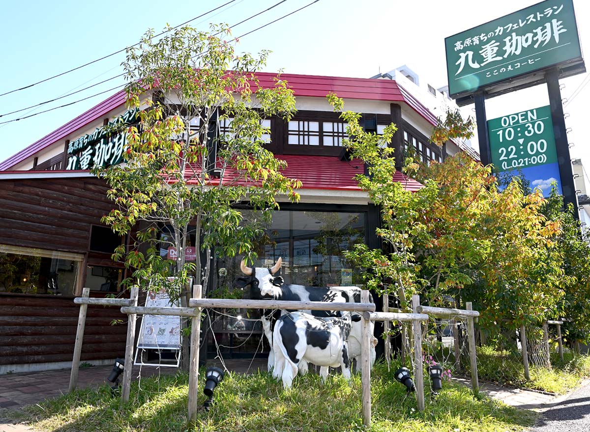 【九尾】 ZX-9R(ZX900F)-since 2002- - バイクの系譜